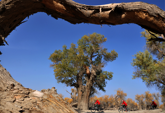 ��٫ ��Խ������.jpg