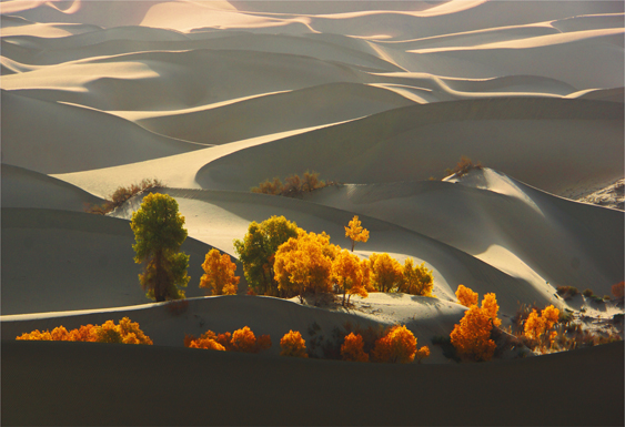 ������ ��Į����.jpg