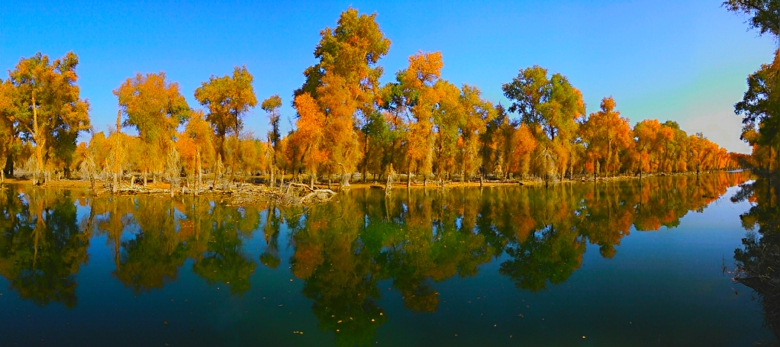 ���ߵ�Ӱ������