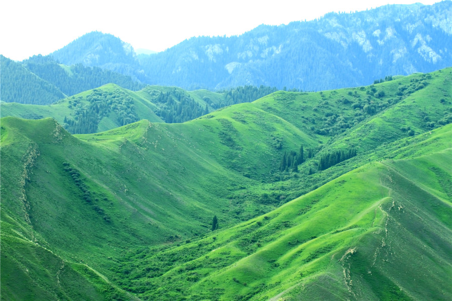 ������Դ1 (2).jpg