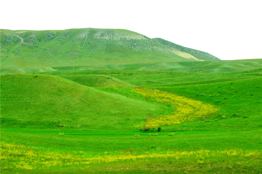 ������Դ1 (1).jpg