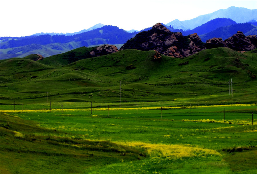 ������Դ1 (3).jpg