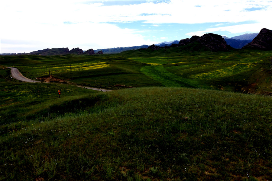 ������Դ1 (4).jpg