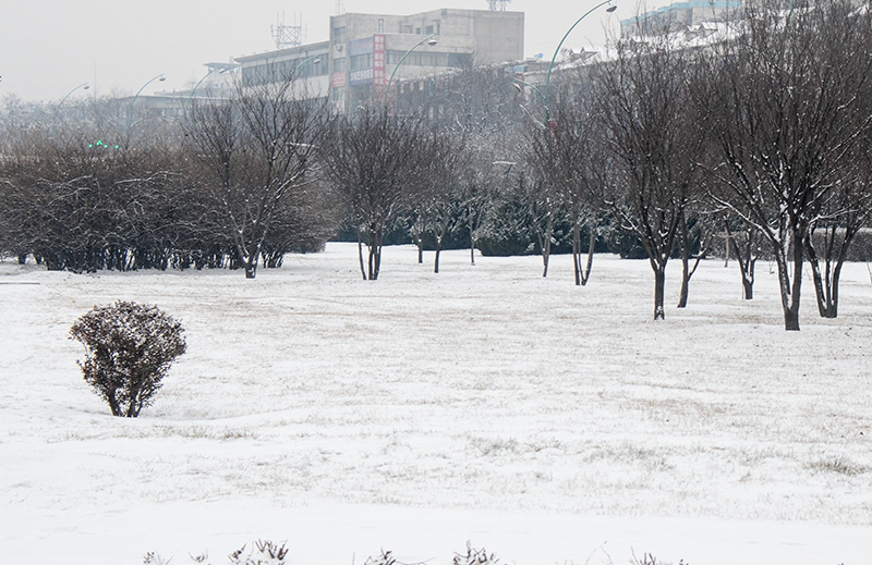 2014��2��6�յ�һ��ѩ��Ƭ ����0241.jpg