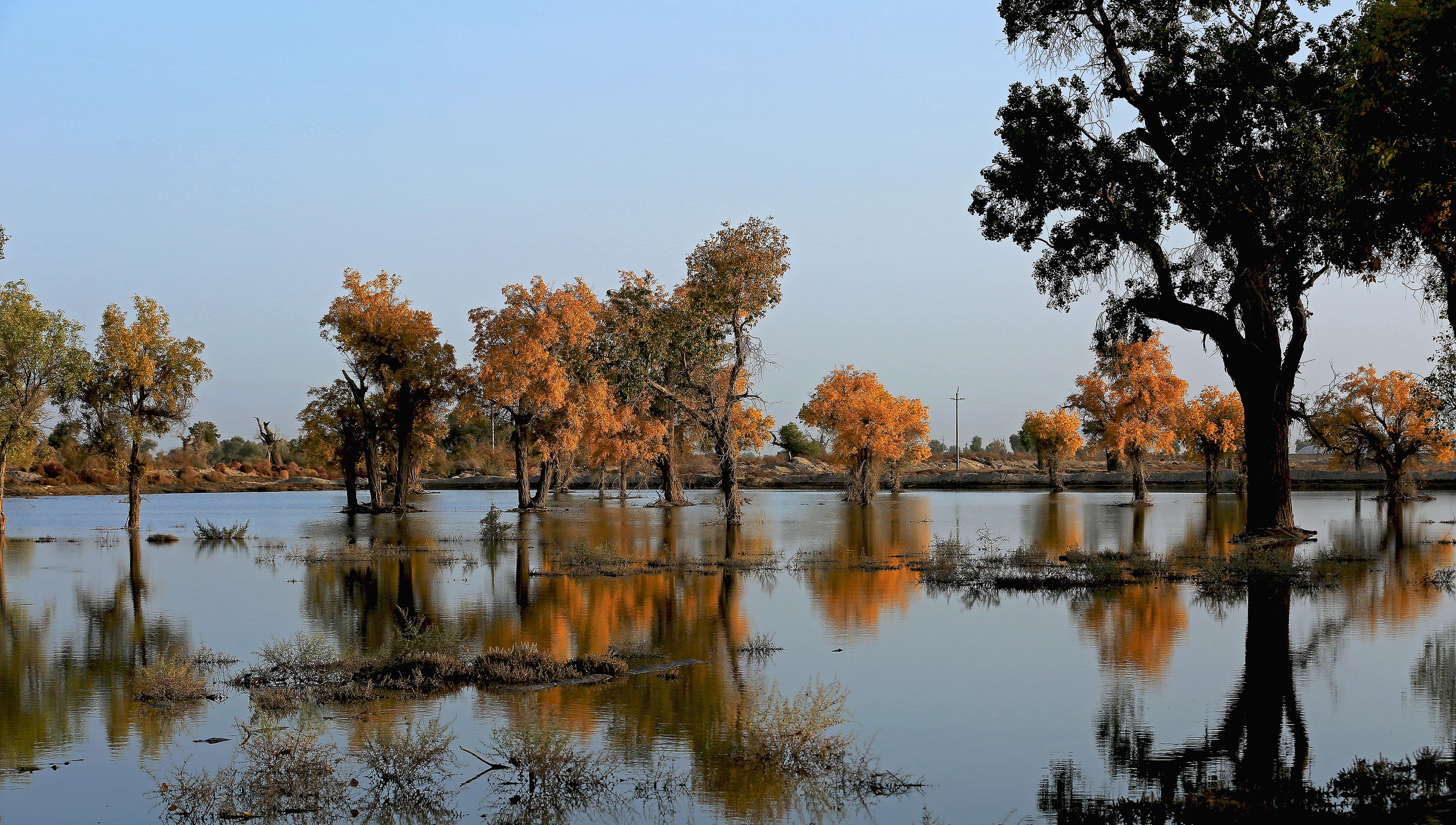 ��̨ˮ�к���