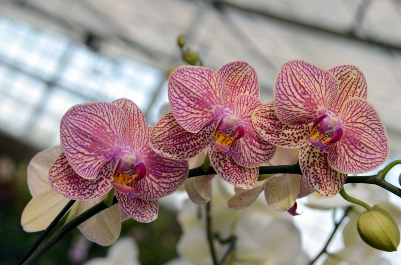 ��  ������