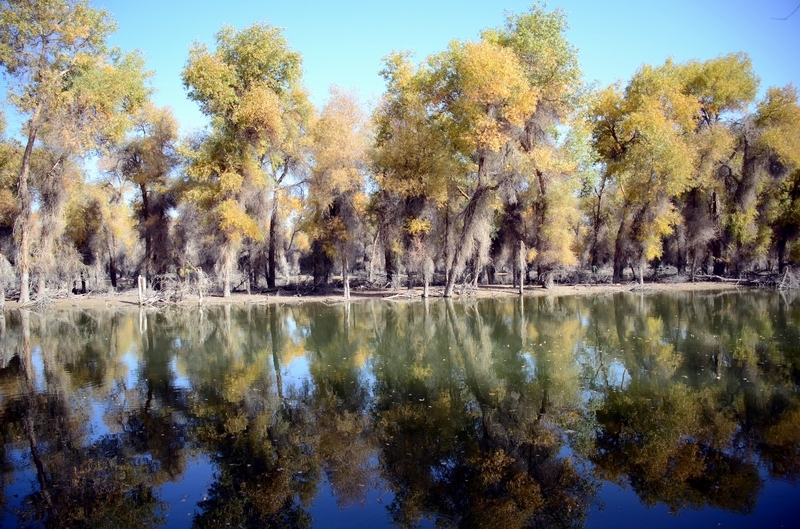 ����  ������