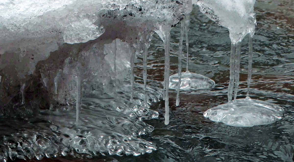 ������ �� ѩ ˮ  �� (318).jpg