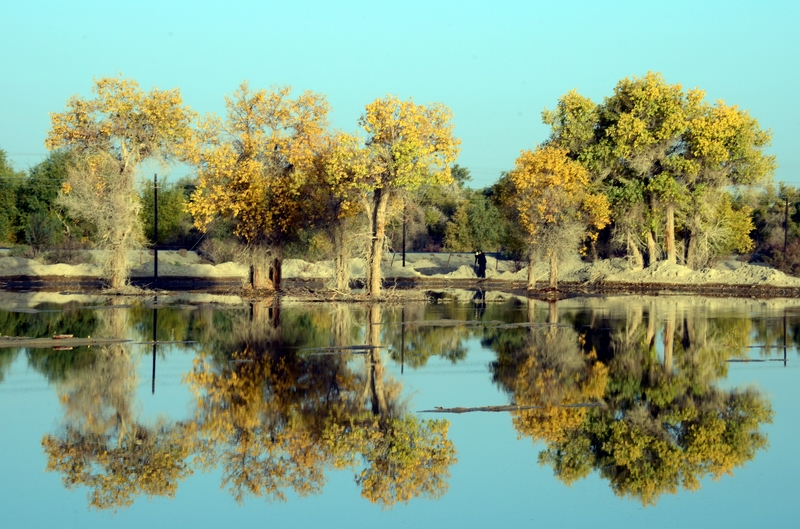 ���ݺ���1  ������