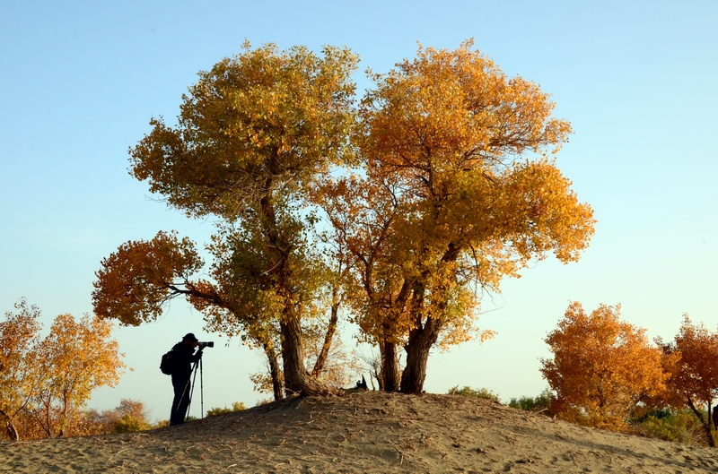 ���ݺ���3  ������