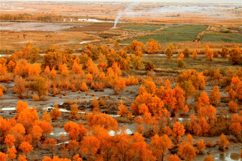 ����  ����.jpg