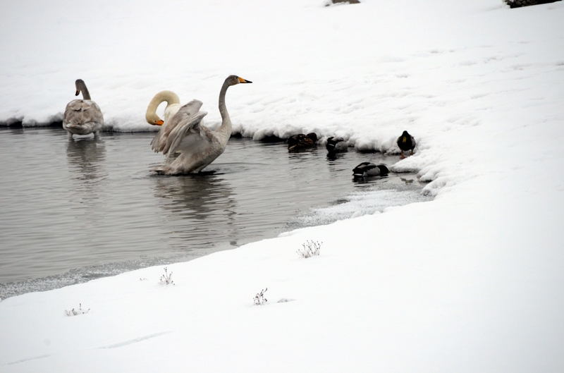 ����  ������