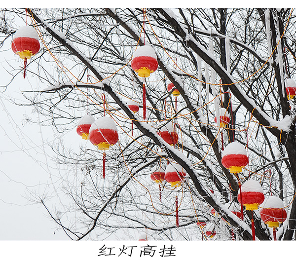 2014��2��6�յ�һ��ѩ��Ƭ2 ����0171.jpg