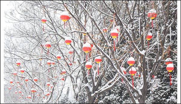 2014��2��6�յ�һ��ѩ��Ƭ2���� 02212.jpg