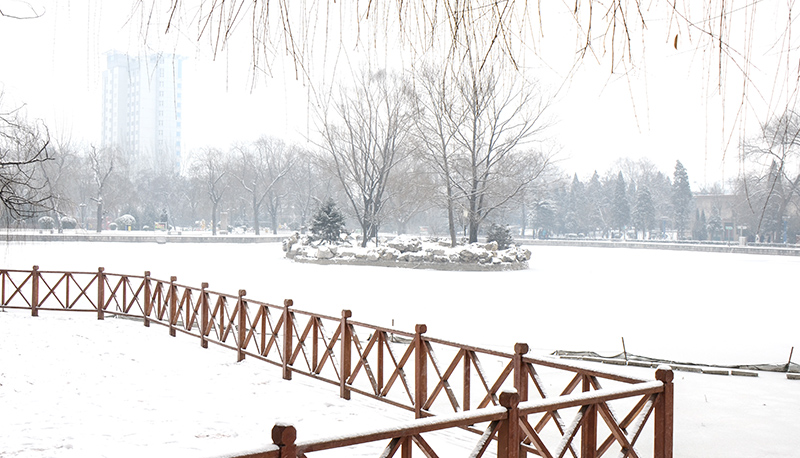 2014��2��6�յ�һ��ѩ��Ƭ 1051.jpg