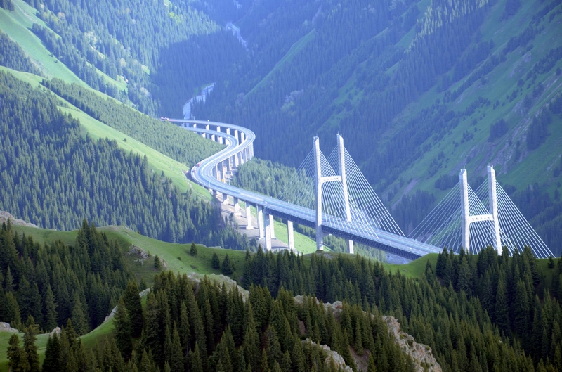 ŷ����  ������