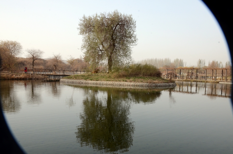 ɳĮ�˼�  ������