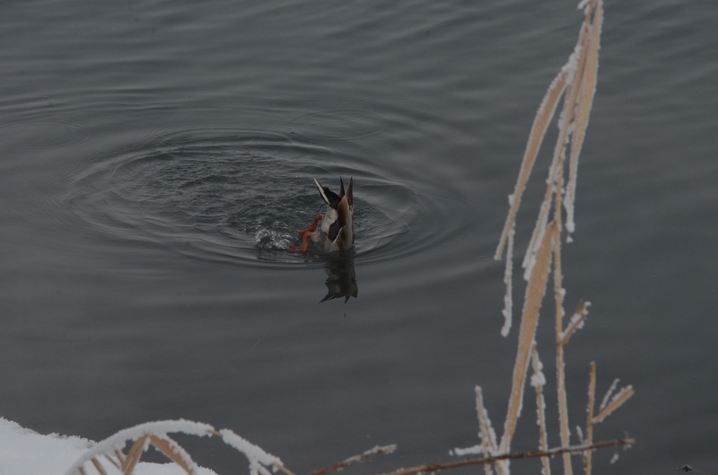 ������   ������