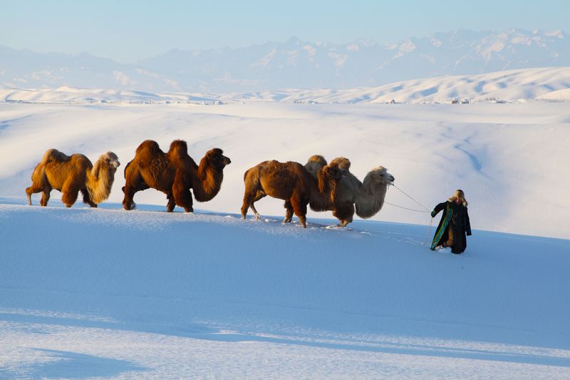 ѩ������