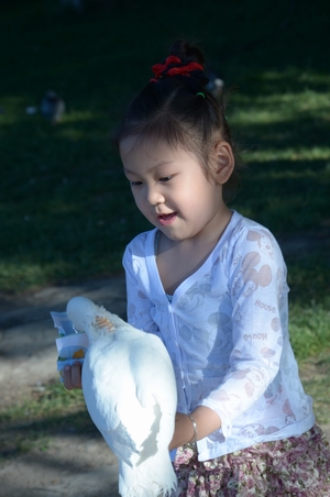 ι    ������