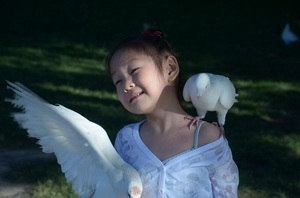 �Ծ�   ������