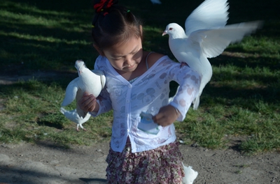 ��гƽ��  ������