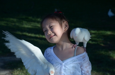 ��    ������