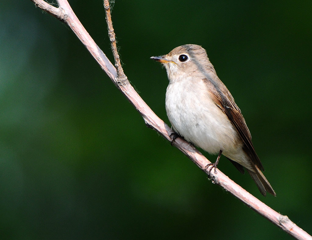 �����l0873  1.jpg