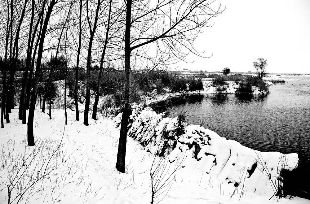 ���� IMG_6530.JPG