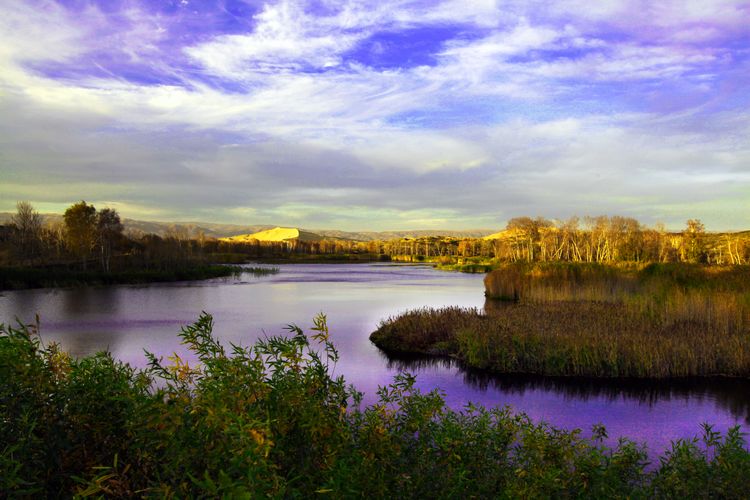 ��Į��ˮ��ɳ����