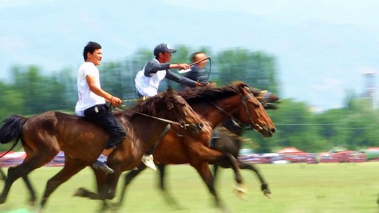 «�ݹ�����������Ӱ (4).jpg