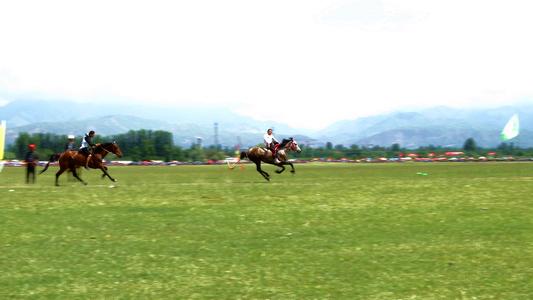 «�ݹ�����������Ӱ (88).jpg