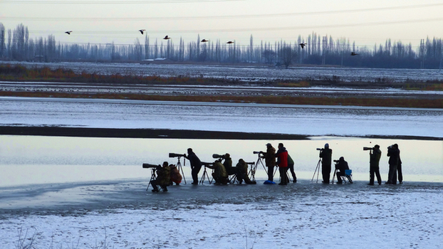 ʦ�����õ��Ǵ��� (1).jpg