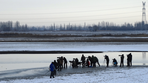 ʦ�����õ��Ǵ��� (2).jpg