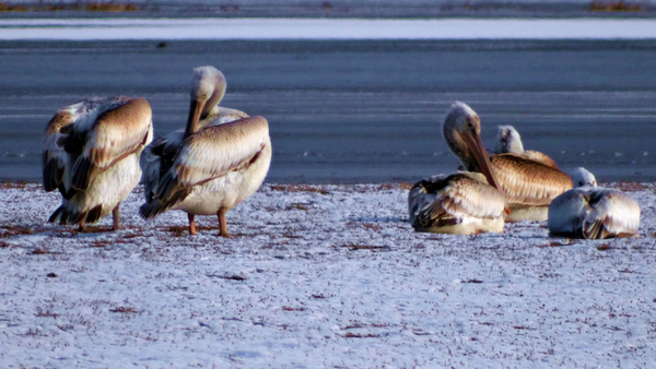 ���õ������᳤�����HX300 �ֳ�  (5).jpg