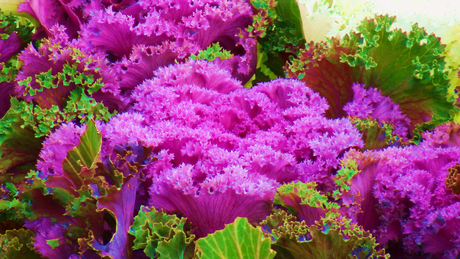 c ����֮��-3 (26).jpg