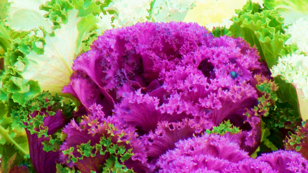 c ����֮��-6 (25).jpg