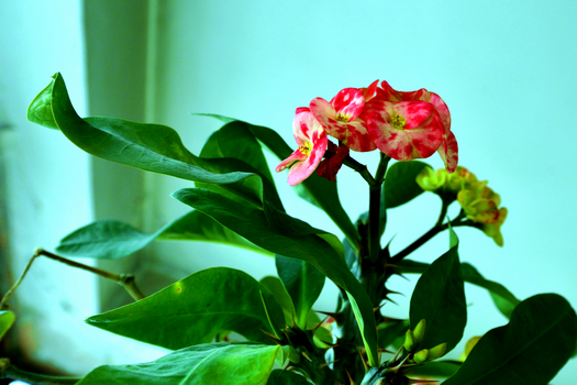 24�� ����Ч��ͼ (1).jpg