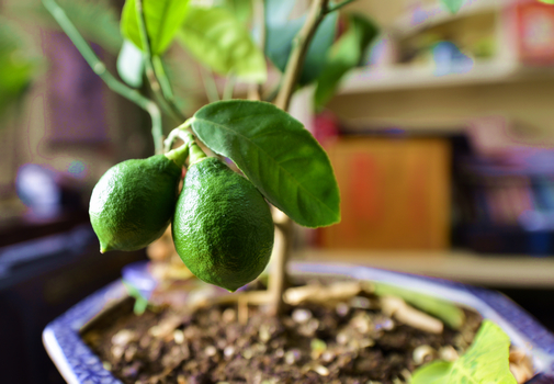 24�� ����Ч��ͼ (2).jpg