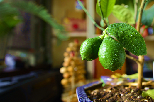 24�� ����Ч��ͼ (3).jpg