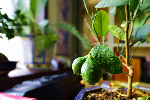 24�� ����Ч��ͼ (4).jpg