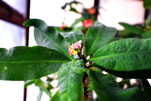 24�� ����Ч��ͼ (5).jpg