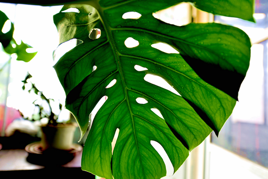 24�� ����Ч��ͼ (8).jpg