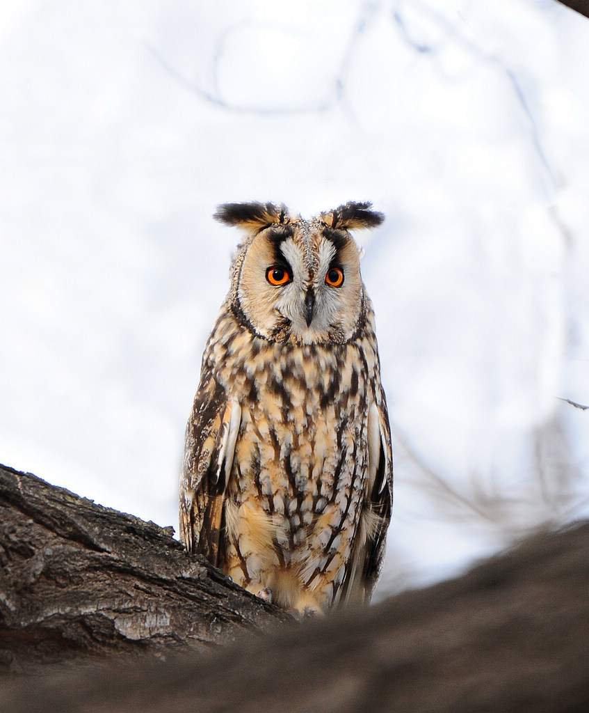 �����^_0547   1.jpg