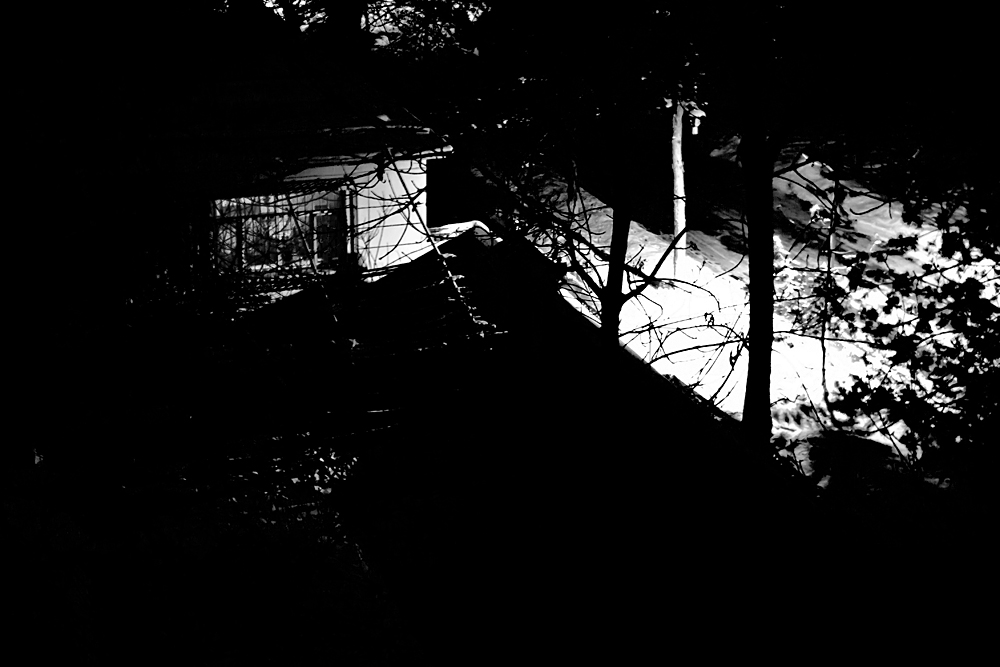 ���� IMG_6637.JPG