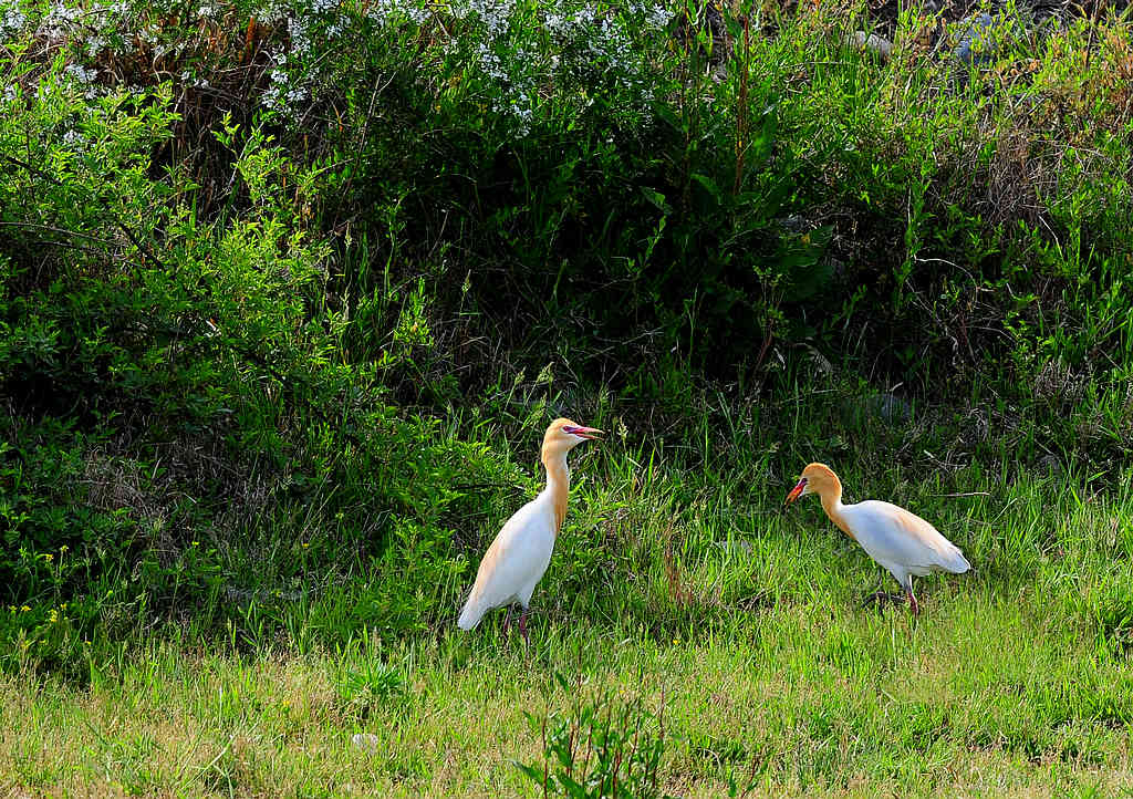 4  ţ����.jpg