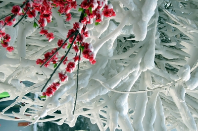 ��    ������