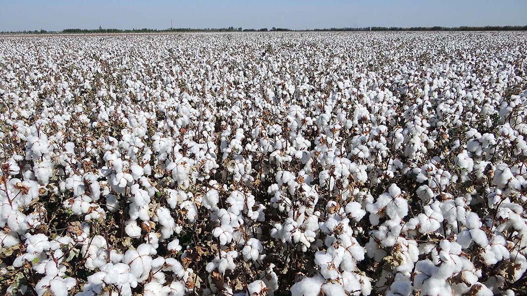 �ջ񼾽ڵ��½��������� (2).jpg