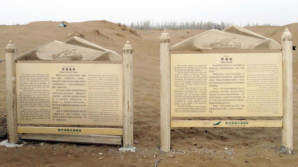 �߽���ľ���� ɳĮ���� �� (1).jpg