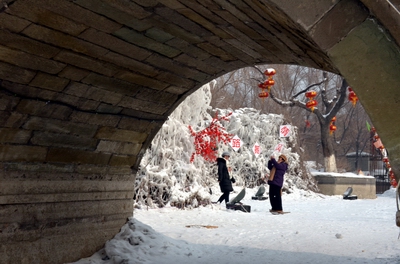 ������   ������